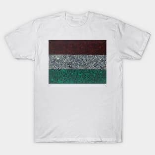 Hungarian Flag T-Shirt